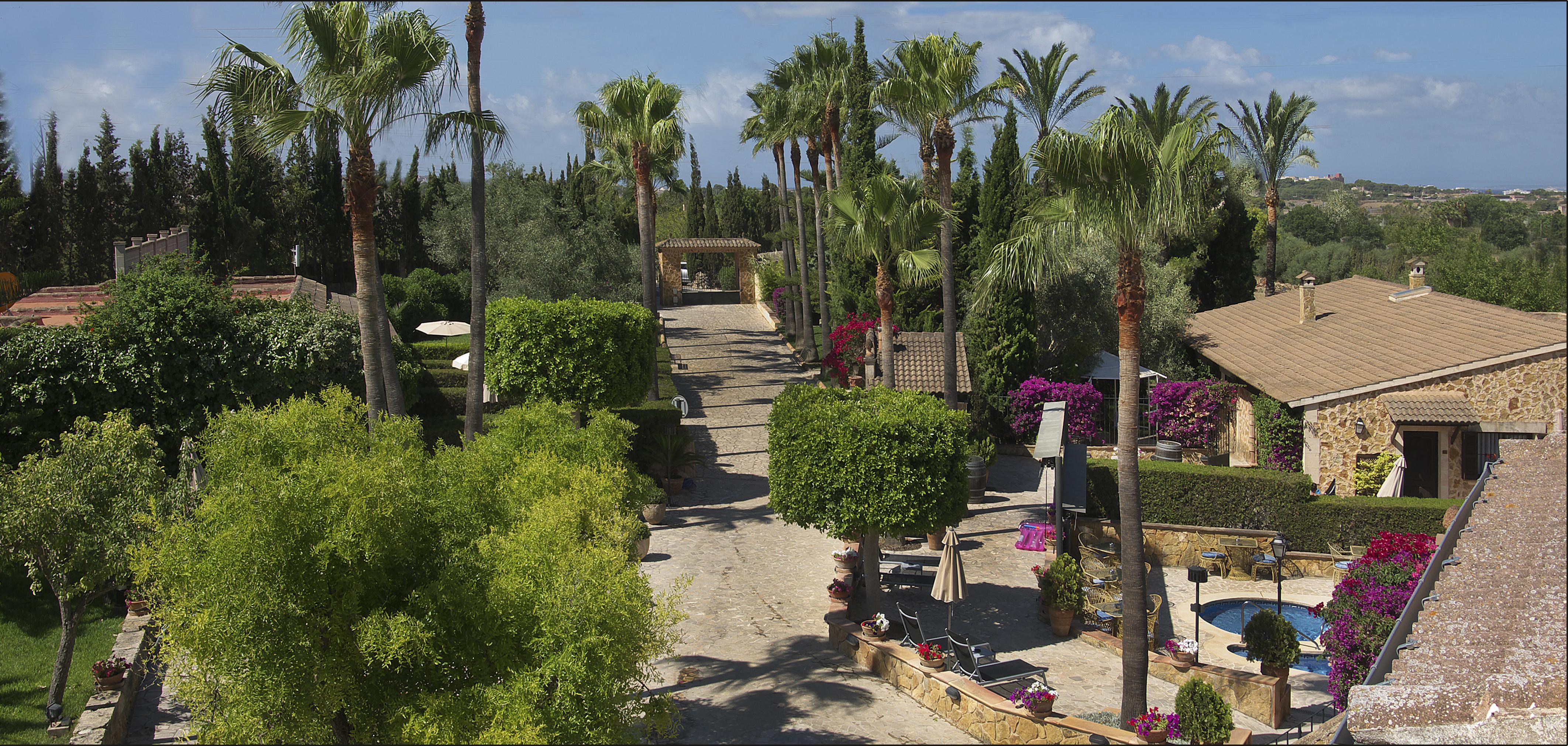 Hotel Son Moli Palma